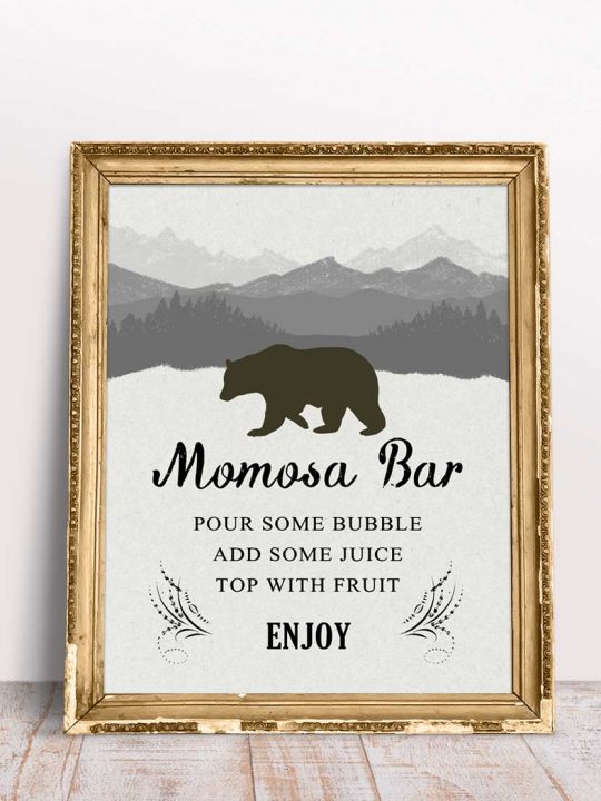 Baby Shower Mimosa Bar Sign