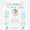 Airplane Wild and One Boy 1st Birthday Poster Printable