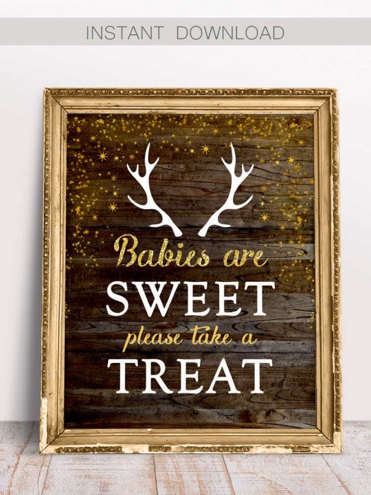 Babies are Sweet Please Take a Treat Sign