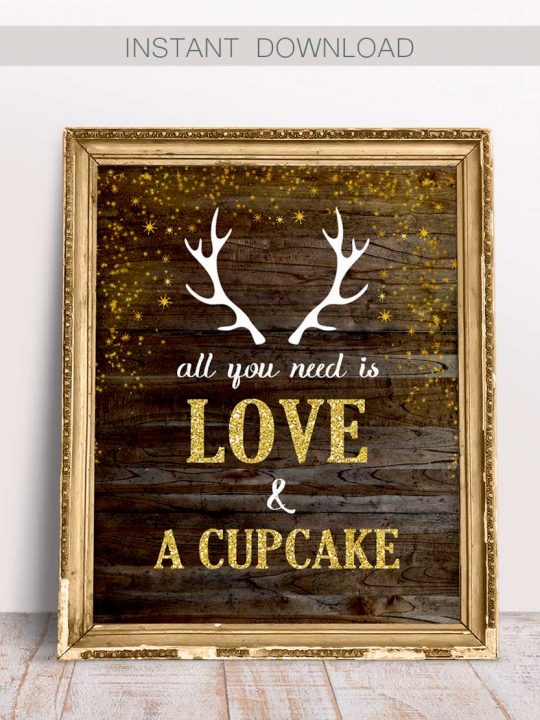 Baby Shower Cupcake Sign, All You Need is Love and a Cupcake