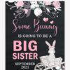 Printable Some Bunny Big Sister Easter Pregnancy Announcement